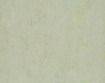 [100111119_2] Marmoleum Splash - 3430 salsa verde